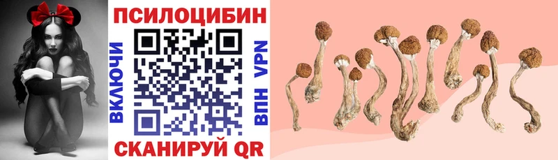 даркнет сайт Шумерля Галлюциногенные грибы прущие грибы