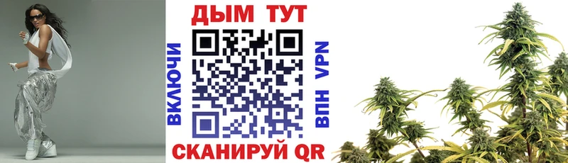 где можно купить наркотик  Шумерля  Каннабис тримм 